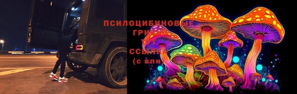 мдпв Зерноград