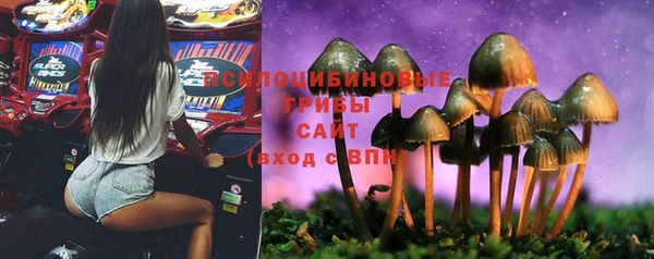 a pvp Зеленодольск