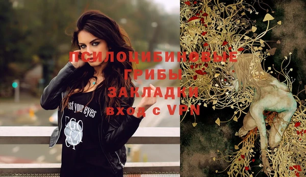 a pvp Зеленодольск