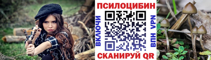 Галлюциногенные грибы мицелий  как найти   blacksprut как войти  Среднеколымск 